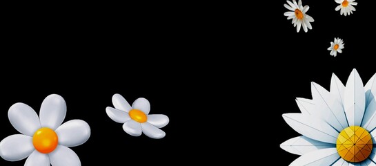 white daisies on black background illustration 