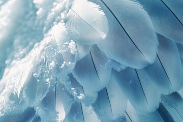Naklejka premium Detailed view of ice age bird feathers, showing layered plumage that provides insulation and camouflage in a snowy environment. High-resolution, detailed textures, crisp focus