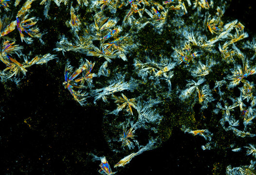 Vitamin B2 crystals under a microscope