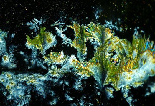 Vitamin B2 crystals under a microscope