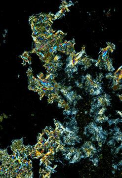 Vitamin B2 crystals under a microscope