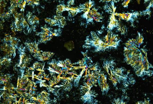 Vitamin B2 crystals under a microscope