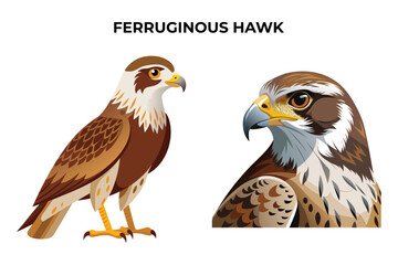 Beautiful Ferruginous Hawk bird on white background vector illustration 