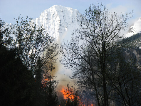 Forest on Fire