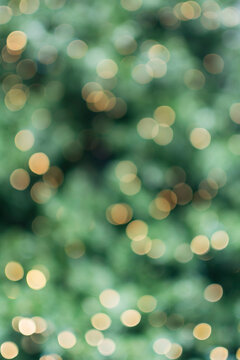 Blurred lights on Christmas tree