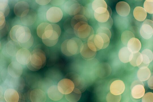 Blurred lights on tree