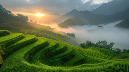 Fototapeta premium Sunrise Over Rice Terraces
