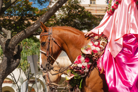 Woman on Horse in Parade