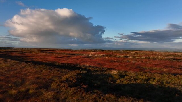 Bragan, County Monaghan, Ireland, September 2022. Drone pushes north gradually ascending over the rugged bog land parallel with the Irish border with Northern Ireland on a warm Autumn evening.