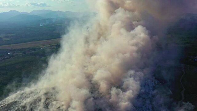 Plumes of smoke rising from runaway wildfire consuming tropical forest, aerial