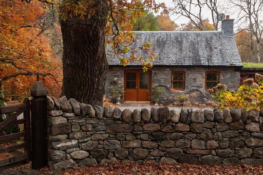 Cute cozy cottage surrounded by fall foliage