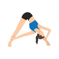 Woman doing Revolved Wide Angle Forward Bend or Parivrtta Prasarita Padottanasana. Flat vector illustration isolated on white background