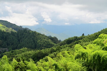 A stunning daytime view of Meishan, Taiwan, a scenic hillside town at the edge of the Chianan Plain, showcasing vast cloud and forest seas.