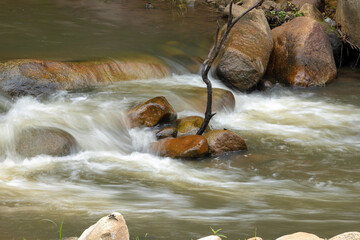 Crystal-clear waterfall dances over smooth stones, weaving a vibrant tapestry through lush green nature