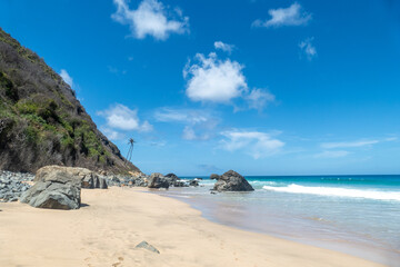 Fernando de Noronha, Brazil. View of beautiful empty sandy beach with plants in the foreground