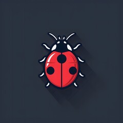 Fototapeta premium ladybug 