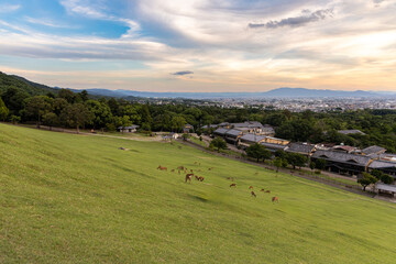 Wakakusayama Hill, Nara panoramic view, sunset in Nara City, Japan