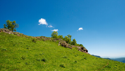 Hillside under clear blue sky with trees and rocks.