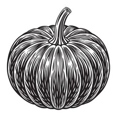 illustration of a pumpkin