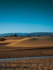 gran canaria, maspalomas