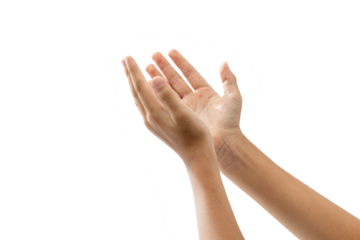 two outstretched hands towards sky on white background.