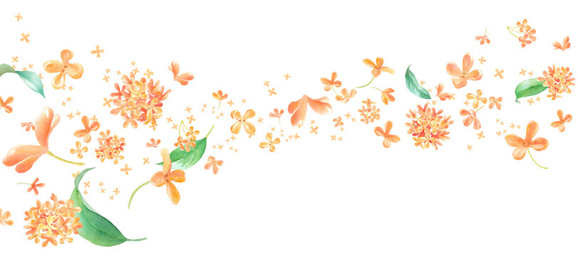 金木犀 Images – Browse 2,389 Stock Photos, Vectors, and Video