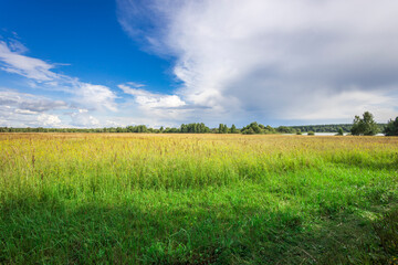 A sprawling meadow glistens in the morning light, surrounded by lush greenery and dynamic cloud...