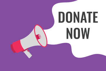 donate now button, banner, label, template for website. donate now text with colorful megaphone icon
