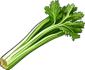 Fototapeta premium celery