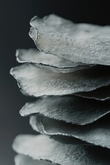 Obraz premium Stacked paper towels