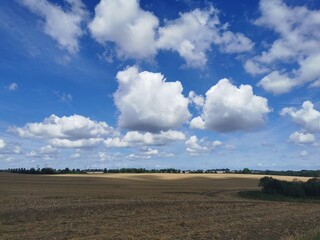 A harvested field with a blue sky in the background in north Germany between Rostock and Schwaan, close to the Warnow river