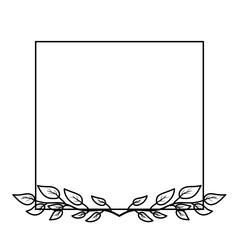 Line border with ornate decorative flowers in the corner