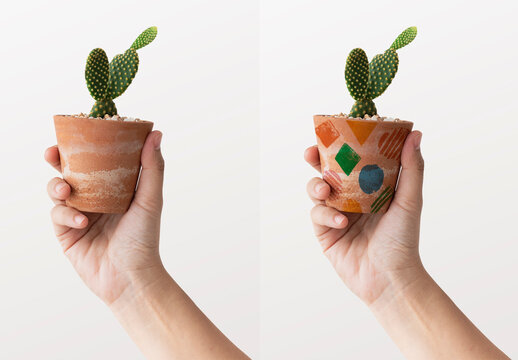 Plant Pot Mockup