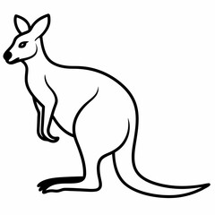 kangaroo illustration