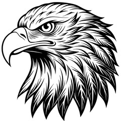 eagle head isolated on white  vector illustration