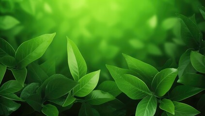 Obraz premium Lush Green Leaves of a Dense Forest in Bright Natural Light Ready for Text Display