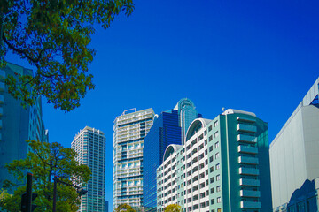Fototapeta premium 横浜高層ビル群と青空