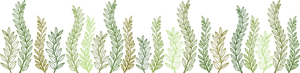 Obraz premium Set of twigs with leaves. Vector graphics. Hand drawing.