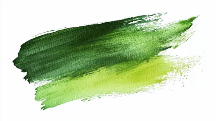 green paint brush strokes watercolor isolated © benjawan