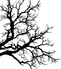 Branch clipart desing illustration