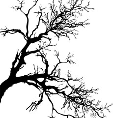 Branch clipart desing illustration