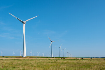 Majestic Windmill Park Under Clear Skies in the Netherlands at Midday