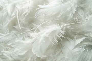 Close-up photograph of soft, white feathers that could be used for embellishments or a fashion accessory.