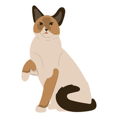 Cat Animal Illustration