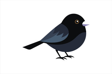  Dark Eyed Junco animal Vector artwork illustration