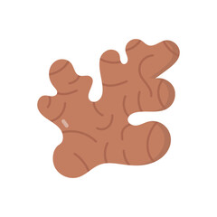 Coriander vector icon