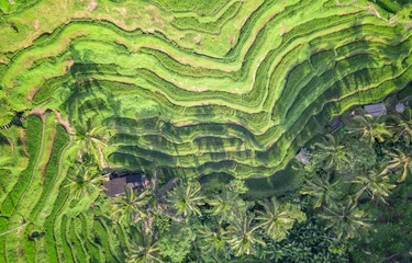 The Amazing jatiluwih rice terraces in Bali, Indonesia