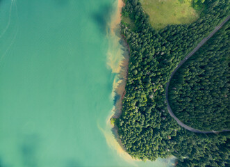 A green forest with a body of water in the background