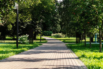 Park pathway with tree shadows leading into green park