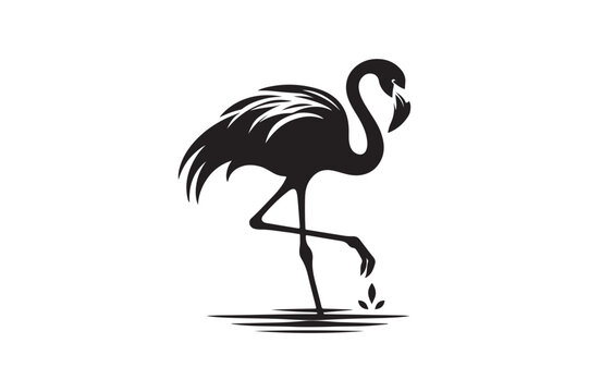 recommend clip art: Flamingo silhouette vector illustration
